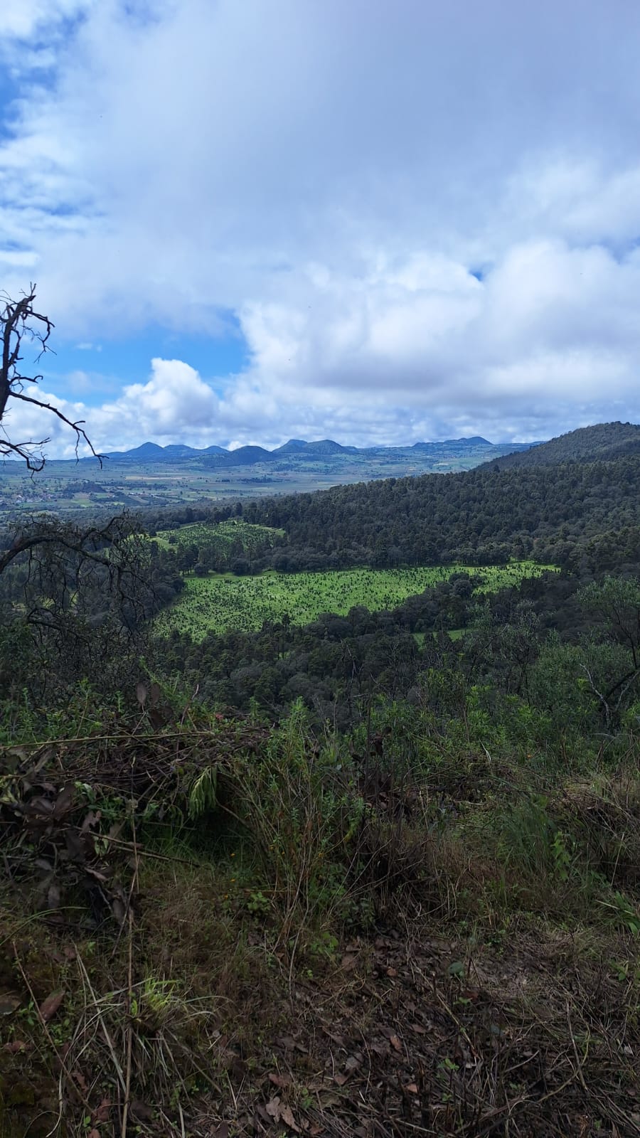 Ruta 3 volcanes